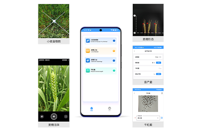 汕头市小麦亩穗数测量仪IN-XM01