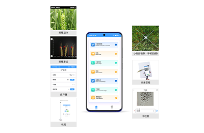 汕头市小麦表型检测仪IN-XM04